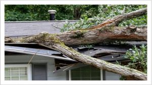 Storm Damage Insurance Restoration